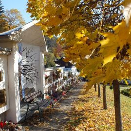 Friedhof