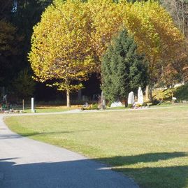 Friedhof